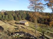 Redensberger Alm Rasen Antholz