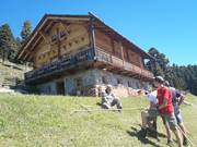 Redensberger Alm Rasen Antholz